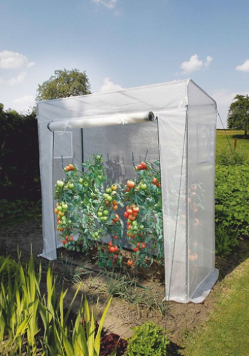 Serre à tomates avec grande ouverture pour plants de tomates dans un jardin